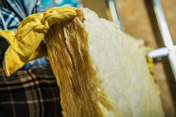Best Energy Efficiency Insulation in Shakopee, MN