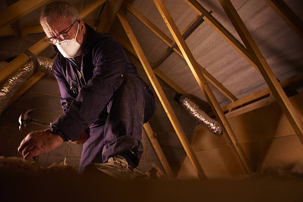 Professional Insulation Contractor in Shakopee, MN