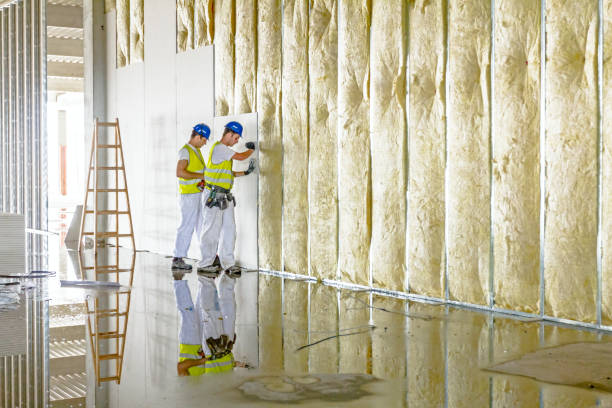Best Eco-Friendly Insulation in Shakopee, MN